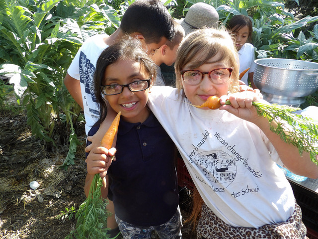 The Right to Eat Brussels Sprouts Early and Often