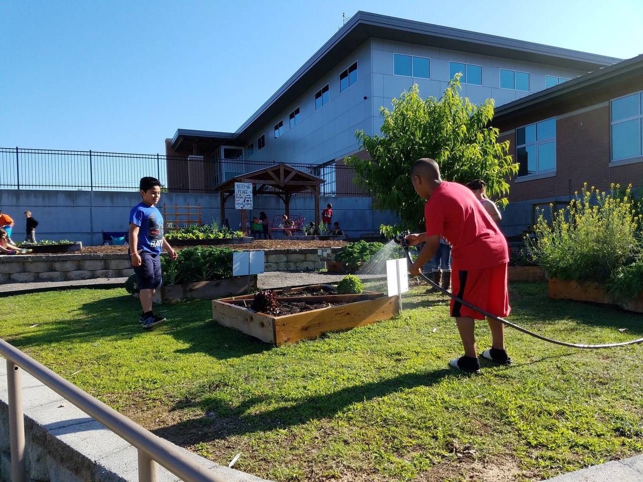 Growing Healthy Communities in School Gardens During COVID-19