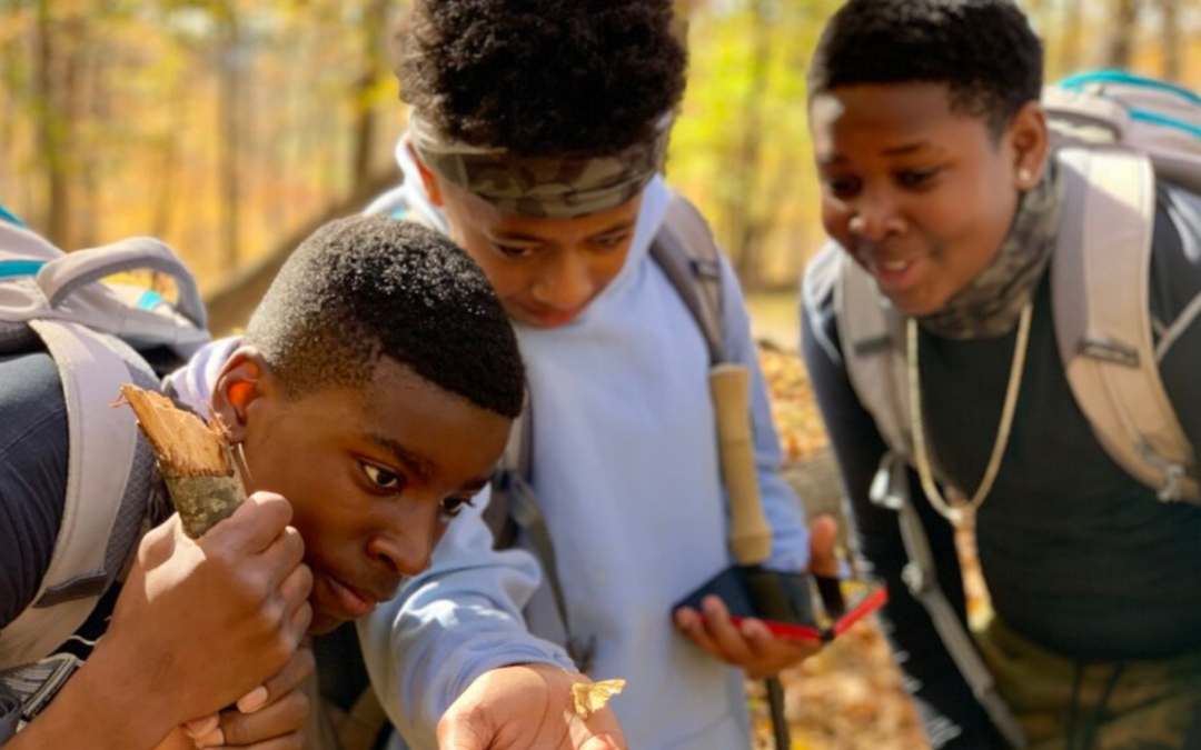 three young men of color observe an insect while outdoors